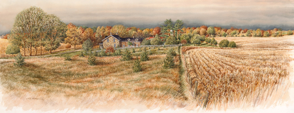Autumn Morning - in Roseville- commissioned house portrait by Alex Krajewski