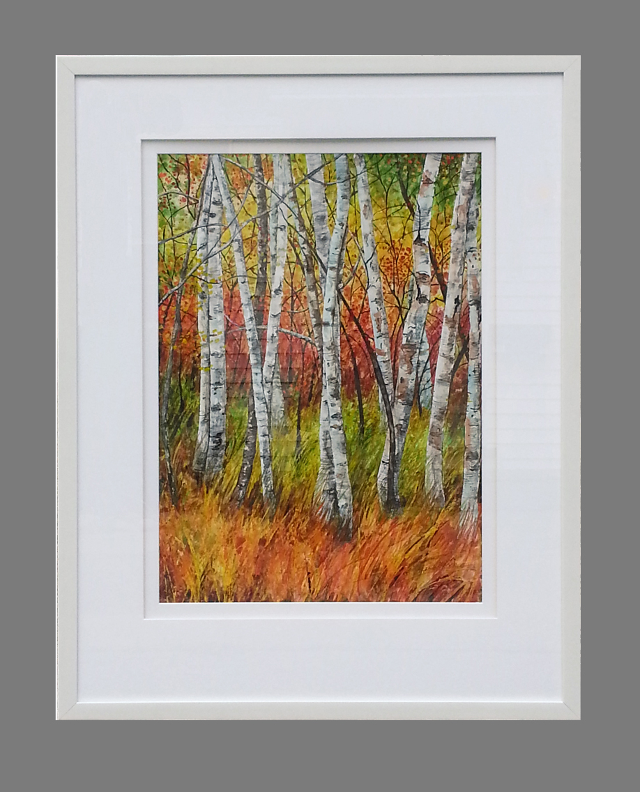 Verical Birches by Anna Krajewski framed