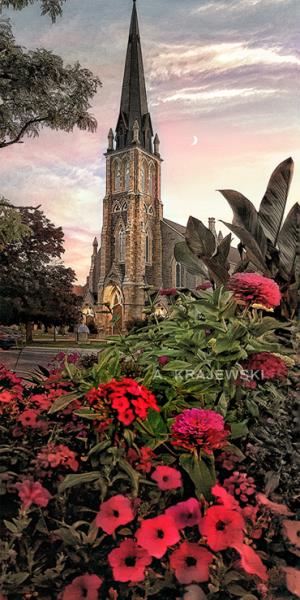 Knox's Galt Presbyterian Church Through Flowers - Krajewski