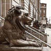 Post Office Lions