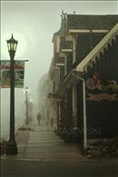 Foggy Walk in Elora
