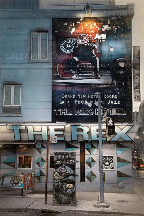 The Rex Hotel - Toronto, ON - Krajewski