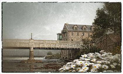 Cambridge Mill with Daisies CA-26 - Krajewski