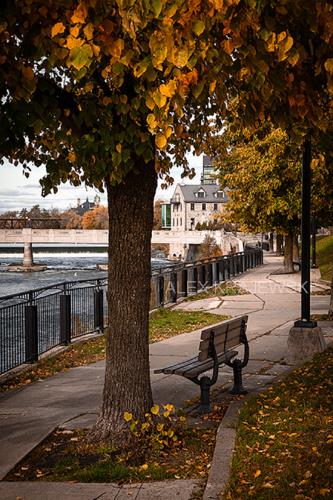 Fall Bench (vertical) - Krajewski