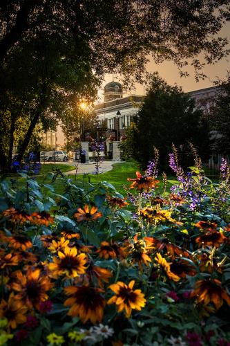 Forbes Park Sunset - Krajewski