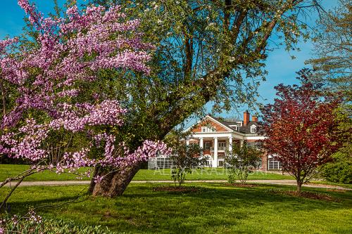 Langdon Hall Spring - Krajewski