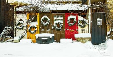 Christmas Wreaths of Elora- narrow - Krajewski