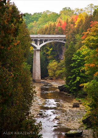 Elora Gorge - Krajewski