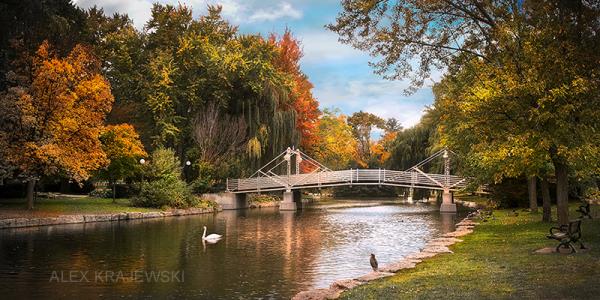 Victoria Park Bridge - Kitchener - Krajewski