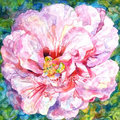 Pink Rose - ORIGINAL - SOLD - Krajewski