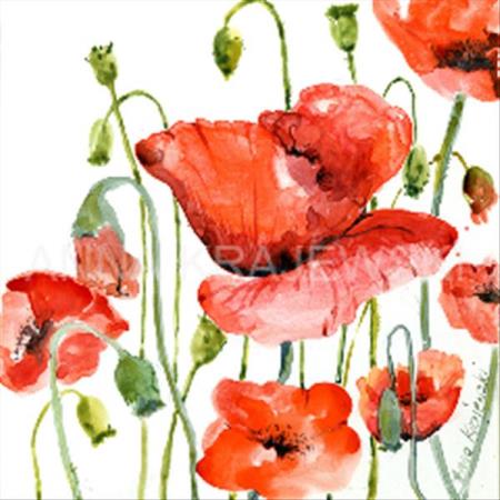 Poppies on White - ORIGINAL - Krajewski