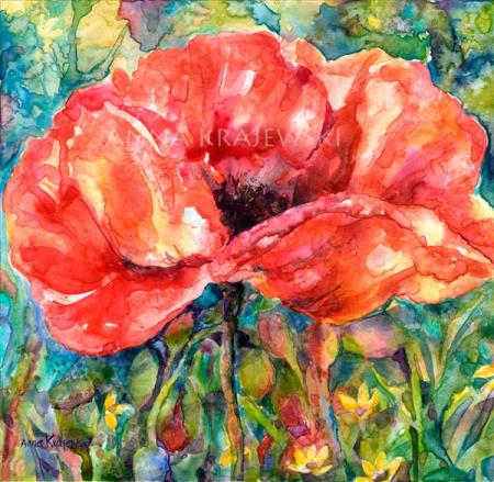 Poppy 2 - Print - Krajewski