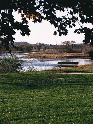 Preston River Bench - Krajewski