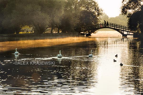 Bridge Over Avon - Stratford - Krajewski