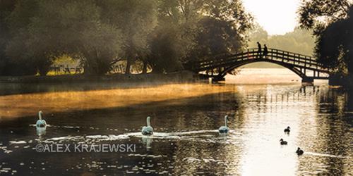 Bridge Over Avon - Narrow - Krajewski