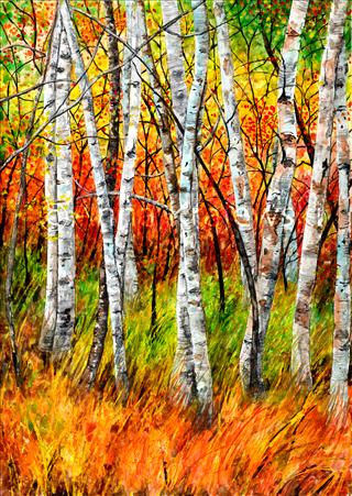 Fall Birches - Vertical - Krajewski