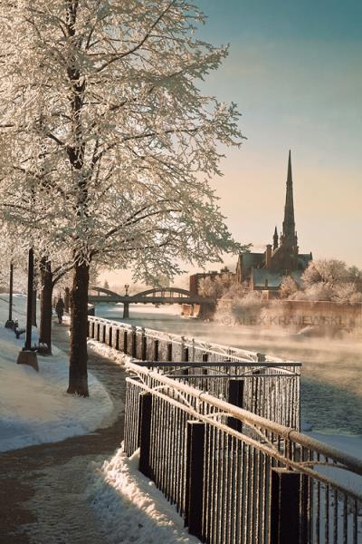 Winter Morning Stroll - Vertical - Krajewski