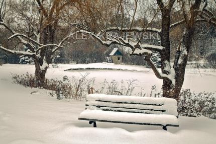 Churchill Park Bench - Krajewski