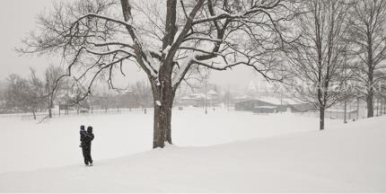 Dickson Park Winter - Krajewski