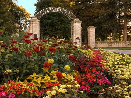 Riverside Park Summer-Preston - Krajewski