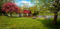 Kissing Bridge Spring - West Montrose