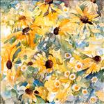 Black-Eyed Susans