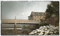 Cambridge Mill with Daisies CA-26