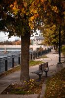 Fall Bench (vertical)