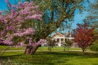 Langdon Hall Spring