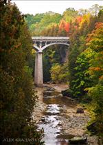 Elora Gorge