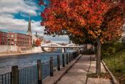 Fall View (wide)