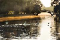 Bridge Over Avon - Stratford