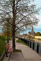 Summer Bench View