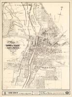Map-Town of Galt - Vintage