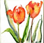 Tulips on White - ORIGINAL