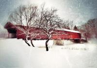 Kissing Bridge in Winter - Blue