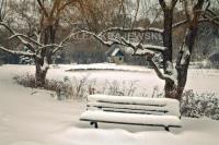 Churchill Park Bench